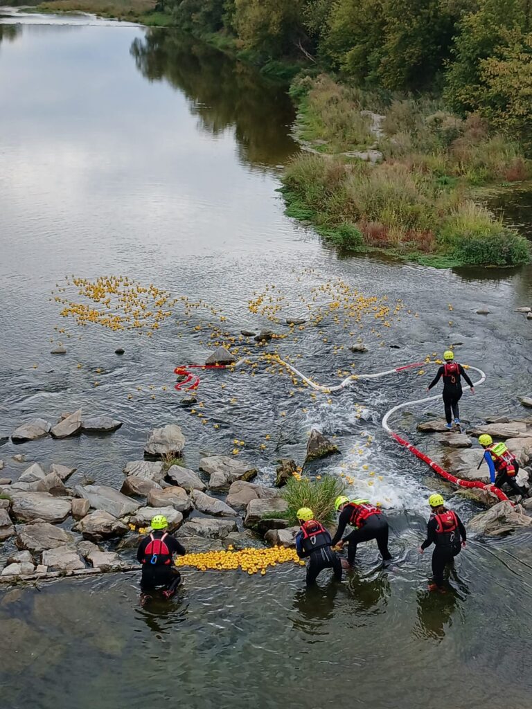 Antenrennen auf der Traisn am 13.09.2026